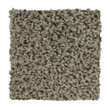 Mohawk True Honor Quiet Beige BP99B-749