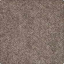 Karastan Lush Appeal Texture and Shag Dried Peat 70925-3789