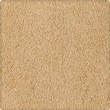 Karastan Soft Finesse Texture and Shag Wheat Field 70932-3761