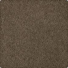 Karastan Soft Eloquence Aberdeen 43646-9869