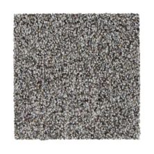 Lifescape Designs Modern Manners Plus Texture and Shag Crushed Gravel 2Z46-947
