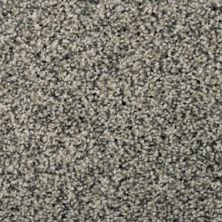 Karastan Magnetic Beauty Flannel W2WIS-43693-9948