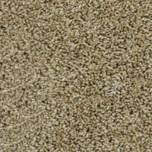 Karastan Noteworthy Style Warm Sand 43687-9768