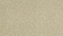 Karastan Sensational Details Texture and Shag Linen 63917-6735