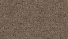 Mohawk Calming Image I Perfect Taupe 3G26-829