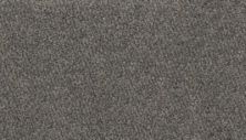 Karastan Rustic Intrigue Grey Flannel 70975-3973