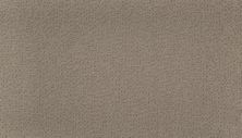 Karastan Inspired Approach Tranquil Taupe 43714-9920