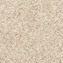 Mohawk Petpremier Diffurent Choice I Frosted Almond 3M41702