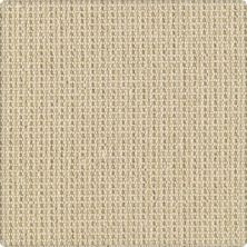 Karastan Tattersall Coastal Beige 41093-29422