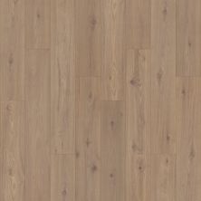Portico Revwood Premier Freywood Garden Ap Cabin Hickory PAP10-833
