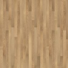 Portico Luxury Vinyl Plank Ember Bay 3″ Acadia PB021-224