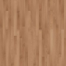 Portico Luxury Vinyl Plank Ember Bay 3″ Augusta PB021-456