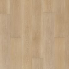 Portico Luxury Vinyl Plank Hartford Hall Alisa PB027-244