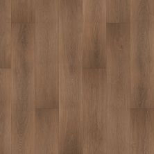Portico Luxury Vinyl Plank Hartford Hall Danielle PB027-429