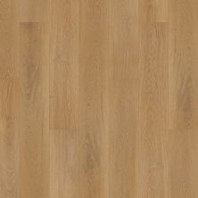 Portico Luxury Vinyl Plank Hartford Hall Clara PB027-437