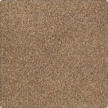 Portico Kashmere Serene Shades Cattail PEC21-9787