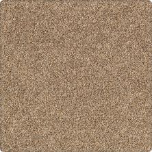 Portico Kashmere Serene Shades Haven PEC21-9841