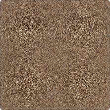 Portico Kashmere Serene Shades Saddle PEC21-9855