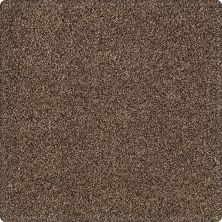 Portico Kashmere Serene Shades Pinecone PEC21-9879