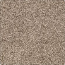 Portico Kashmere Serene Shades London Fog PEC21-9937