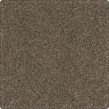 Portico Kashmere Serene Shades Stormwatch PEC21-9978