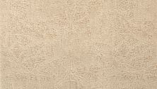 Portico Kashmere Evening Bliss Ivory Cream PEC43-9701