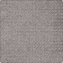 Portico Kashmere Decidedly So Pewter PEC51-9944