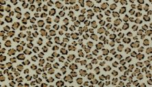 Portico Kashmere Punda Milia Cheetah PEC56-4787