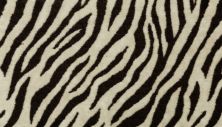 Portico Kashmere Punda Milia Zebra PEC56-4999
