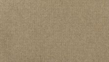 Portico Wool Zion Canyon Suede PEC61-0520