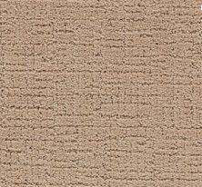 Portico Smartstrand Silk Intricate Style Native Soil PEC65-9826