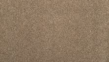 Portico Kashmere Nostalgia Nook Sandstone Beige PEC77-9822