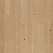 Portico Belleluxe Natural Nantahala Champagne Oak PEC80-138