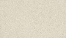 Portico Estate Nylon Warm Haven White Dove PEC95-9709