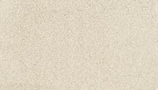 Portico Estate Nylon Warm Haven Creamer PEC95-9719