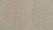 Portico Estate Nylon Warm Haven Sugar Dust PEC95-9765