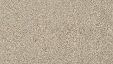 Portico Estate Nylon Warm Haven Renoir Bisque PEC95-9768