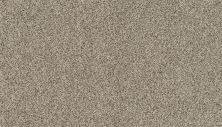 Portico Estate Nylon Warm Haven Cuban Sand PEC95-9788