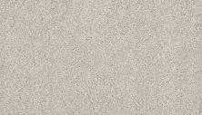 Portico Estate Nylon Warm Haven Silver Fox PEC95-9800