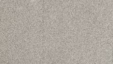 Portico Estate Nylon Warm Haven Greenwich PEC95-9829