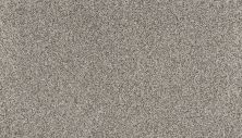 Portico Estate Nylon Warm Haven Pashmina PEC95-9942