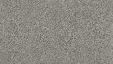 Portico Estate Nylon Warm Haven Greystone PEC95-9974