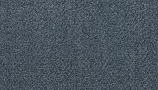 Portico Estate Triexta Blend Seaside Serenity Satelite PEC97-9566