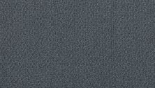 Portico Estate Triexta Blend Seaside Serenity Vero PEC97-9573