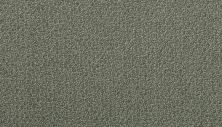 Portico Estate Triexta Blend Seaside Serenity Wabasso PEC97-9624