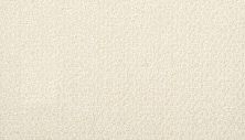 Portico Estate Triexta Blend Seaside Serenity Surfside PEC97-9711