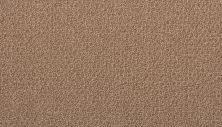 Portico Estate Triexta Blend Seaside Serenity Coconut PEC97-9855