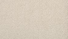 Portico Estate Triexta Blend Seaside Serenity Torrance PEC97-9911