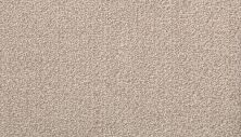 Portico Estate Triexta Blend Seaside Serenity Carmel PEC97-9937