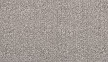 Portico Estate Triexta Blend Seaside Serenity Laguna PEC97-9944